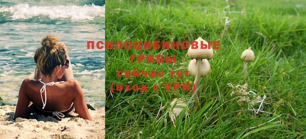 MESCALINE Кодинск